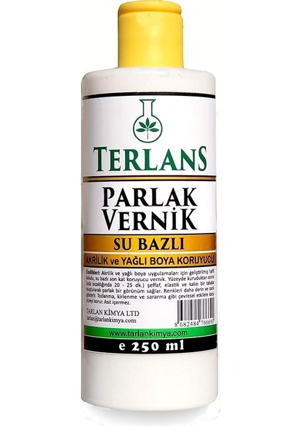 Su Bazlı Parlak Vernik 250 ml Akrilik ve Yağlı Boya Koruyucu