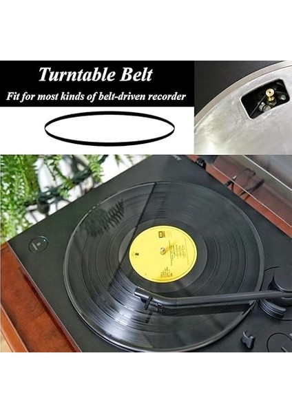 2 Adet Yedek Kayış, Pikap Için, 20 cm Uzunluk, En Iyi Sürüş Performansı ve Mükemmel Müzik Keyfi Için Yüksek Kaliteli Kauçuk, Kayıt Parçaları, Fonograf Kemeri, Birçok Pikap Tipi Için Uygundur fırsatları