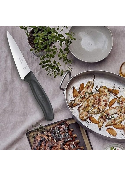 Mutfak Bıçağı Swiss Classic Tranç Blister Uzunluk 12 Cm, 6.8003.12B Üstüne Siyah indirimleri