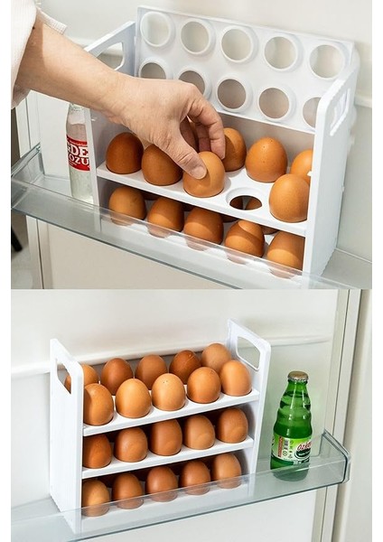 Yumurtalık Buzdolabı Raf Düzenleyici 30'lu Yumurta Kutusu