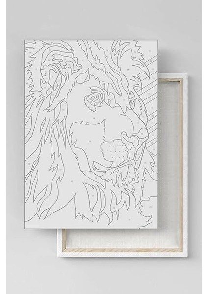 Sayılarla Boyama Seti Kasnaklı Yalnız Ama Huzurlu 50 x 65 cm indirimleri