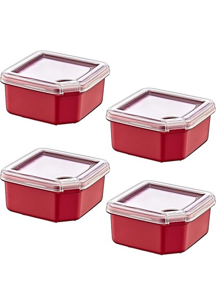 4'lü Q-Box Saklama Kabı Carmen 350 ml