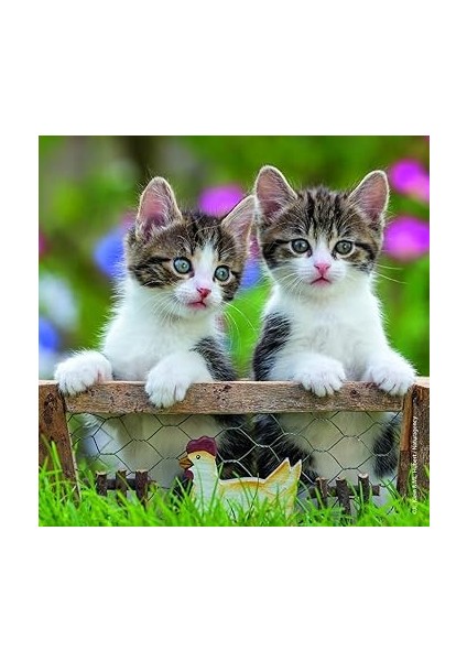 - 3 x 49 Parça Puzzle Tiger Babies (80465) indirimleri