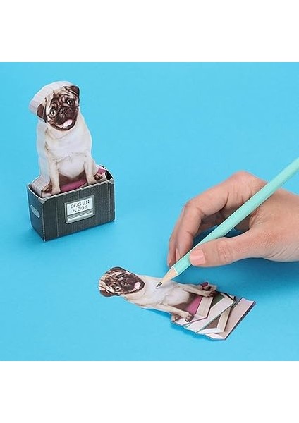 M16079A Dog In A Box Yapışkanlık Not Kağıdı, Renkli fiyatları