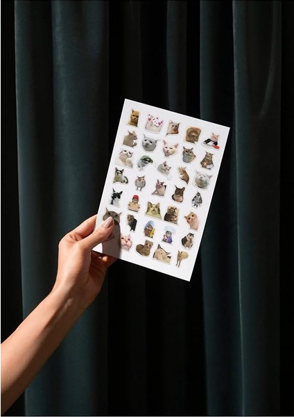 Major Selection "kedi Mood Sticker Seti" 35 Adet - Bullet Journal - Ajanda -Planner - Defter - Laptop-Tablet Için fiyatları