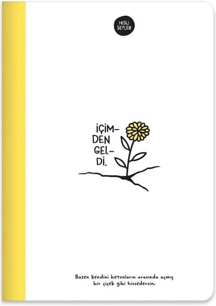 Şeyler A5 80 Yaprak Renkli Sayfa Çizgili Defter, Sarı