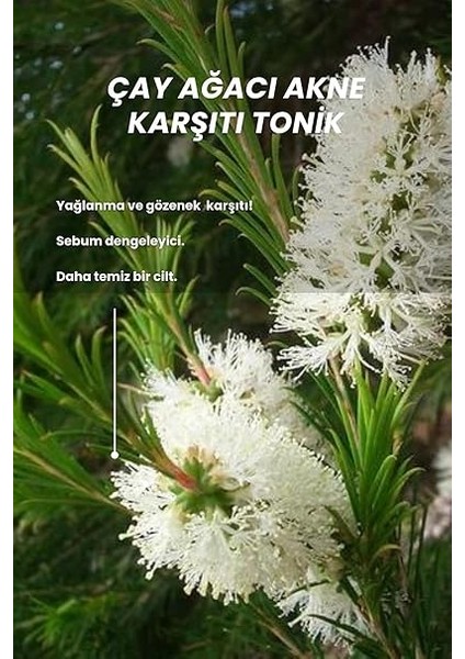 Natural Çay Ağacı Akne Karşıtı Tonik Gözenek Sıkılaştırıcı ve Arındırıcı 100 ml fırsatları