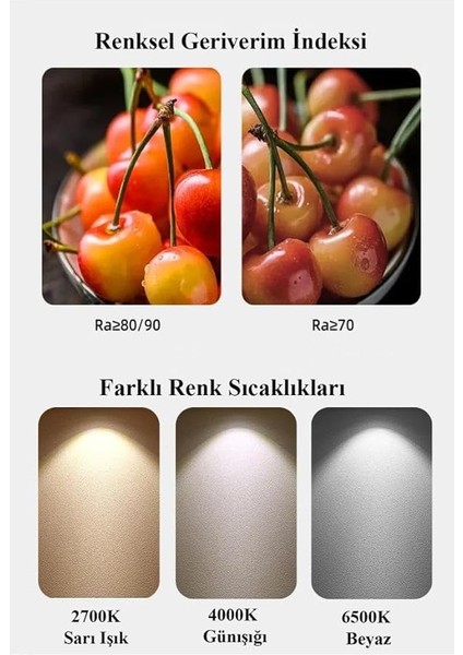 Essential 60W LED Ampul, 2700K Sarı Işık, E27 Normal Duy modelleri