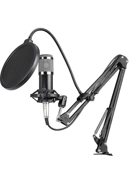 BM800 Profesyonel Kondenser Mikrofon Podcast Canlı Yayın Ekipmanı USB Mıc Mikrofon Seti Kol Standlı Stüdyo Mikrofonu Stüdyo Canlı ve Yayın Için Müzik Ekipmanı
