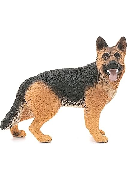 World-Alman Kurdu fiyatları