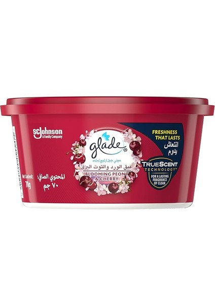 Mini Jel Meyve ve Çiçek Buketi, 70 gr