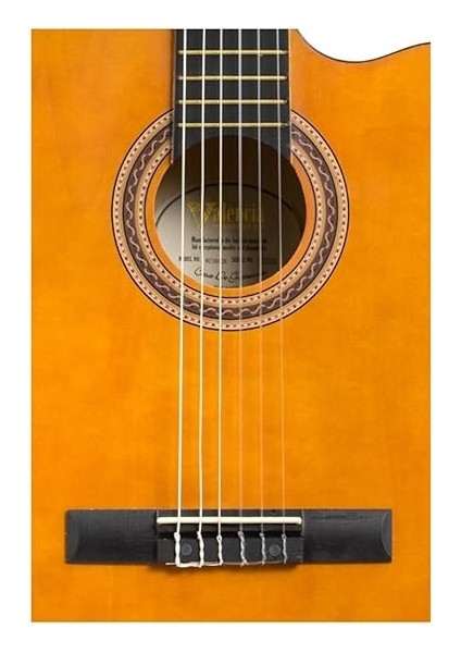 Elektro Klasik Gitar 4/4 Kılıf Pena fiyatları