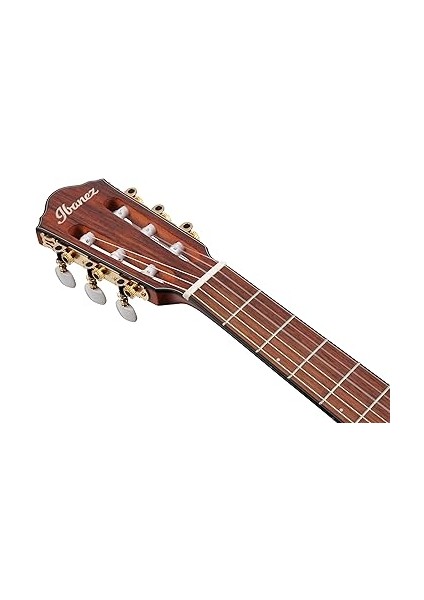 FRH10N Rgf - Rose Gold Metallic Flat Ince Kasa Elektro Klasik Gitar fırsatları