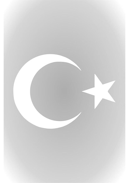 Beyaz Renk Türk Bayrağı Sticker Ay Yıldız Araba Oto Sticker 30 cm x 22 cm