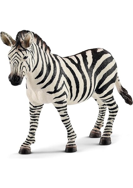Dişi Zebra Oyuncak Figürü