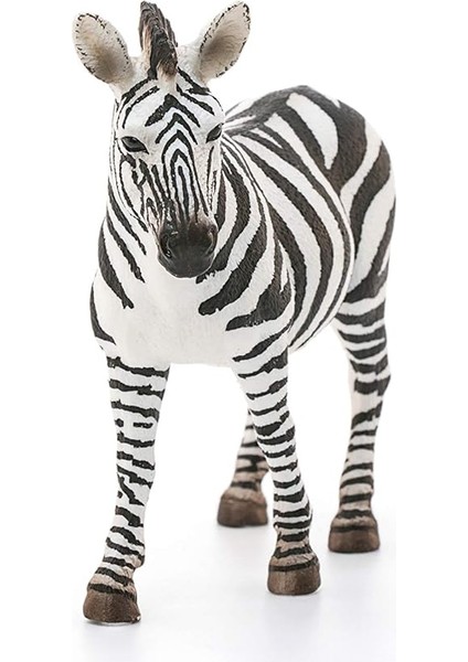 Dişi Zebra Oyuncak Figürü modelleri