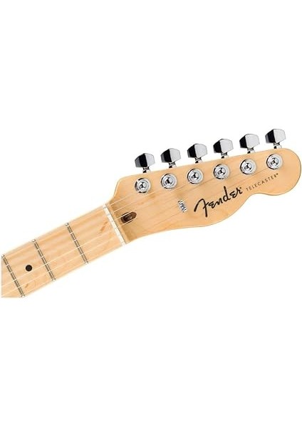 Standard Telecaster Butterscotch Blonde - Maple Elektro Gitar indirimleri