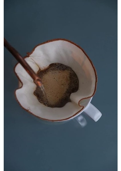 Adet) "çift Katlı" V-60.4 Yıkanabilir, Kumaş, Organik Kahve Filtresi, AĞARTILMAMIŞ%100 Ham Pamuk - Ekolojik Filtre (2 Adet) fiyatları