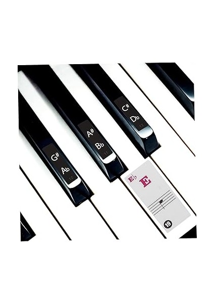 Klavye Nota Çıkartmaları 2 Sayfa Piyano Klavye Çıkartmaları Erkek ve Kız Çocukları Için Piyano Öğrenme Çıkartmaları Çıkarılabilir indirimleri