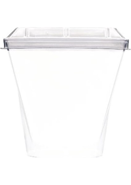 Kübik Prizma Kase Mika Plastik Şeffaf Kapaklı Sunum Kabı 24 Lü 120 cc modelleri