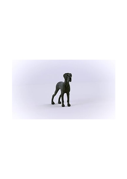 Danua Oyuncak fiyatları