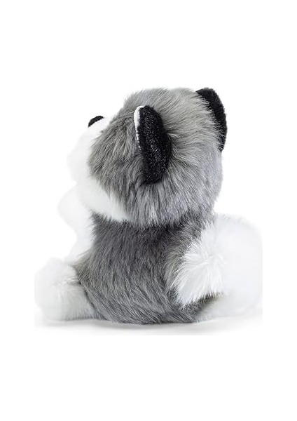 Peluş Fluffy Husky modelleri