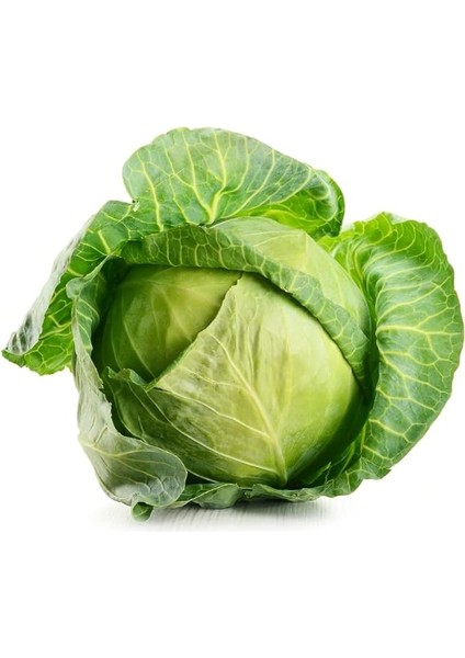 Garden Doğal Beyaz Lahana (Yalova Tipi) 100 Ad. Tohum