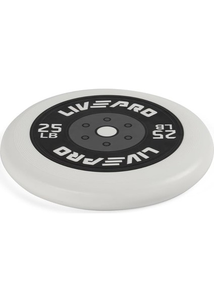 LP2100 Frizbi fiyatları