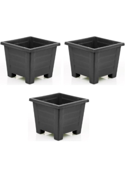 Plastik Balkon ve Iç Mekan Saksı 3 Adet (Antrasit), 0,6 Lt