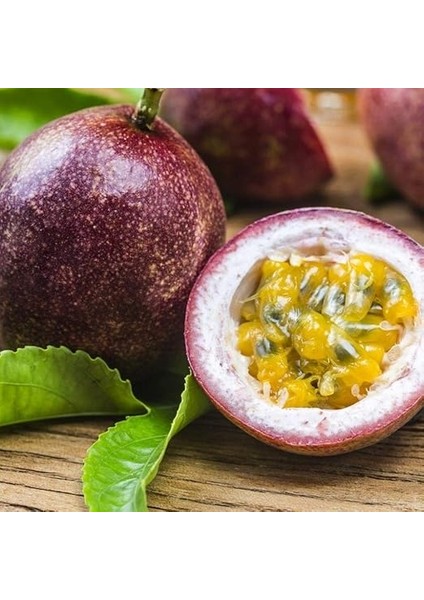 Tüplü Passion Fruit -Tutku-Aşk Meyvesi Fidanı fiyatları