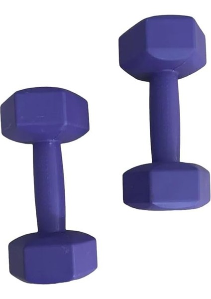 2’li 1 kg Plastik Dambıl Seti – Köşeli Tasarım Ağırlık Seti Egzersiz Dambılı fırsatları