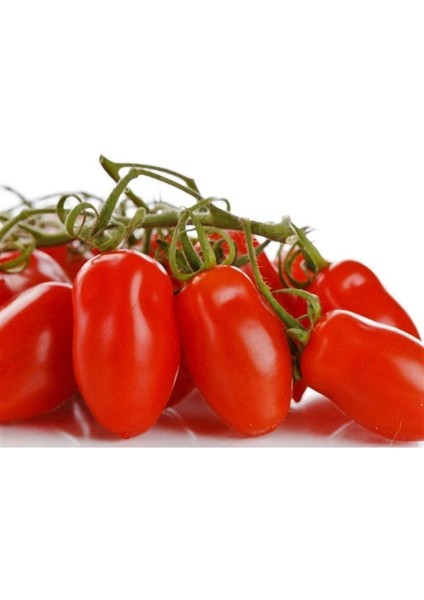 Dünyam 20 Adet Patio San Marzano Domates Tohumu