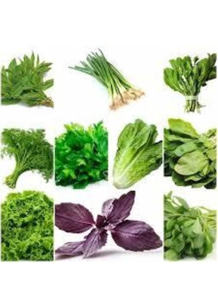 Adet Muhteşem Yeşillik Tohumu Paketi-10 Farklı Çeşit