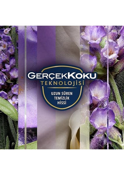 Aerosol Lavanta Ferahlığı Oda Kokusu 300 ml (1 x 300 Ml) indirimleri