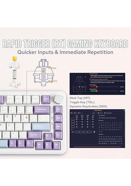 AK820 Max He Hall Effect Manyetik Switch Kablolu Oyun Klavyesi 8000Hz Mor Beyaz indirimleri