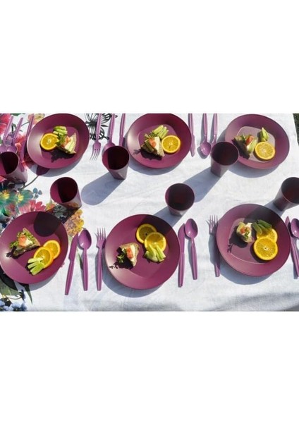 Piknik Seti Mürdüm modelleri