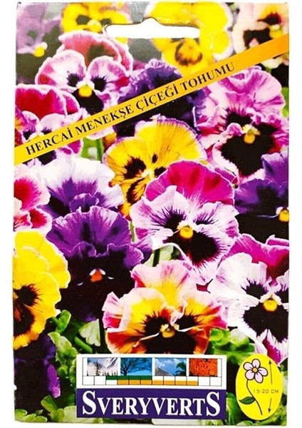 Hercai Menekşe Çiçeği Tohumu