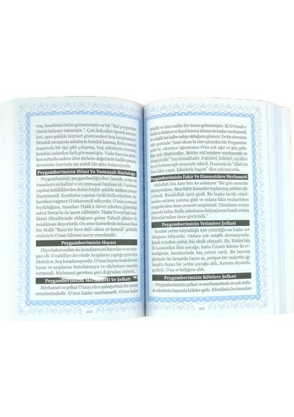 Şefaat Ya Resulellah fırsatları