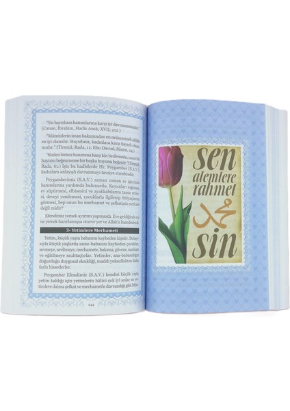 Şefaat Ya Resulellah indirimleri