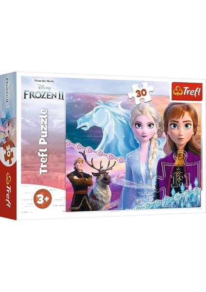 Puzzle Frozen Iı The Courage Of The Sisters 30 Parça Yapboz