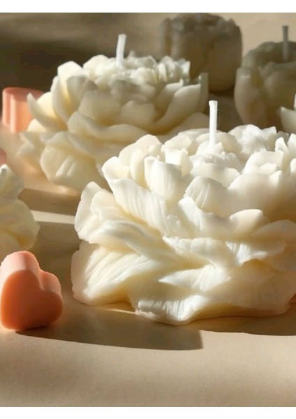 Candle Yapımı Kokusuz Açmış Şakayik Gül Dekoratif Kalıp Mum– Kırık Beyaz -7 cm fırsatları