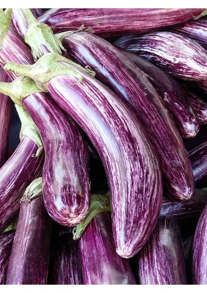 Tarım Yöresel Doğal Çizgili Patlıcan 100 Adet Tohum