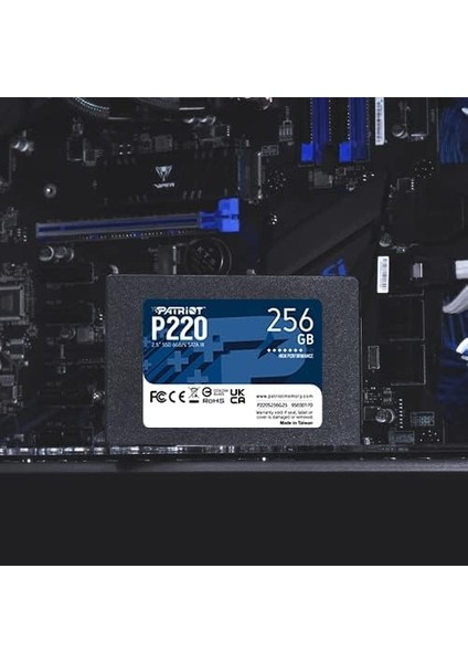 Memory P220 Dahili Solid State Drive 256GB SSD Sata 3 2,5 Inç fırsatları