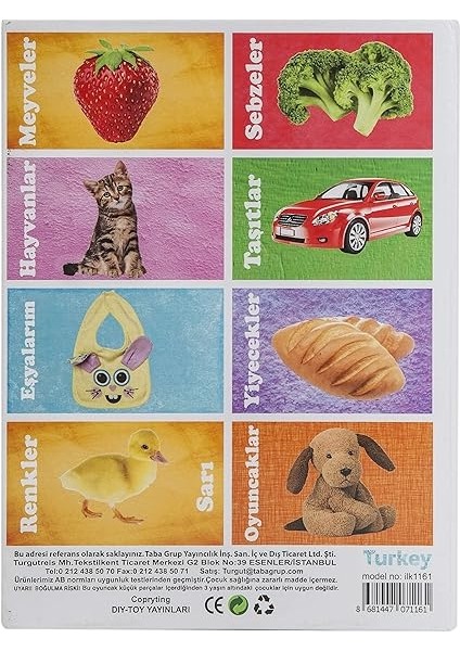 Flash Card Ilk 50 Sözcük modelleri