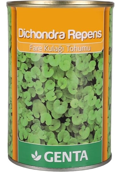 Dichondra Repens Çim Tohumu 250 gr