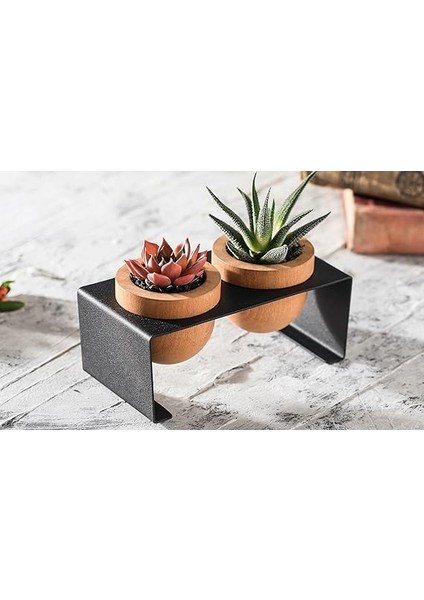 Metal Stantlı 2’li Skulent Saksısı – Siyah Metal Stant ve Meşe Saksılar, Modern Tasarım, Dekoratif Çiçek Saksılığı, Skulent ve Kaktüs Için Şık Saksı, Ev ve Ofis Dekoru indirimleri