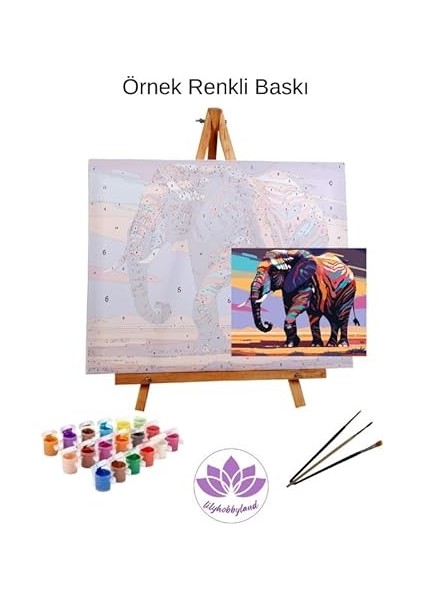 Baskılı Sayılarla Boyama Hobi Seti (Çerçeveli) 40X50 Cm: Leylek 2 fiyatları