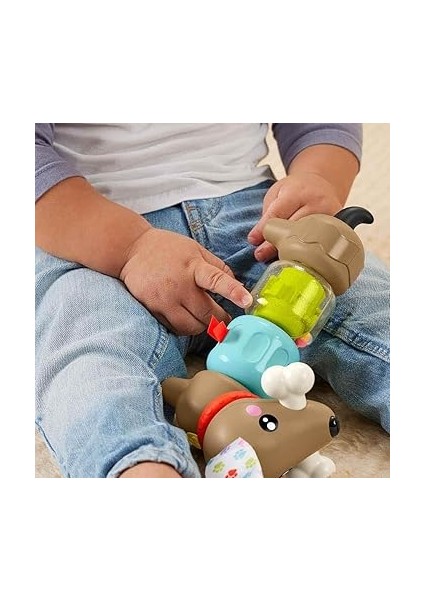 Köpekçikle Eğlenceli Aktiviteler Bebeklerin Duyularını ve Ince Motor Becerilerini Geliştirmeye Yardımcı Fisher-Price Fp Pets Hareketli Köpekçik HTW91 indirimleri