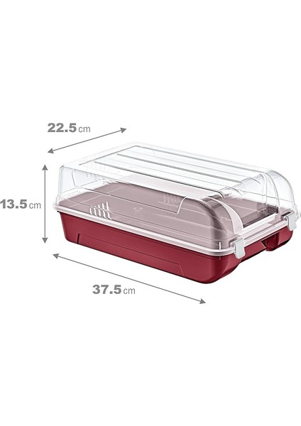 4'lü Set Erkek Carmen Ayakkabı Kutusu fiyatları