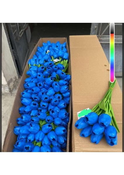 6lı Vazoya Koymalık Sarı Lale